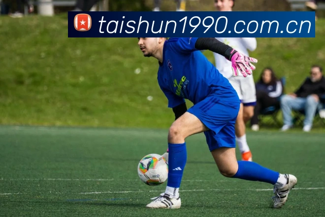 开云官方网站app下载入口APP 封面图